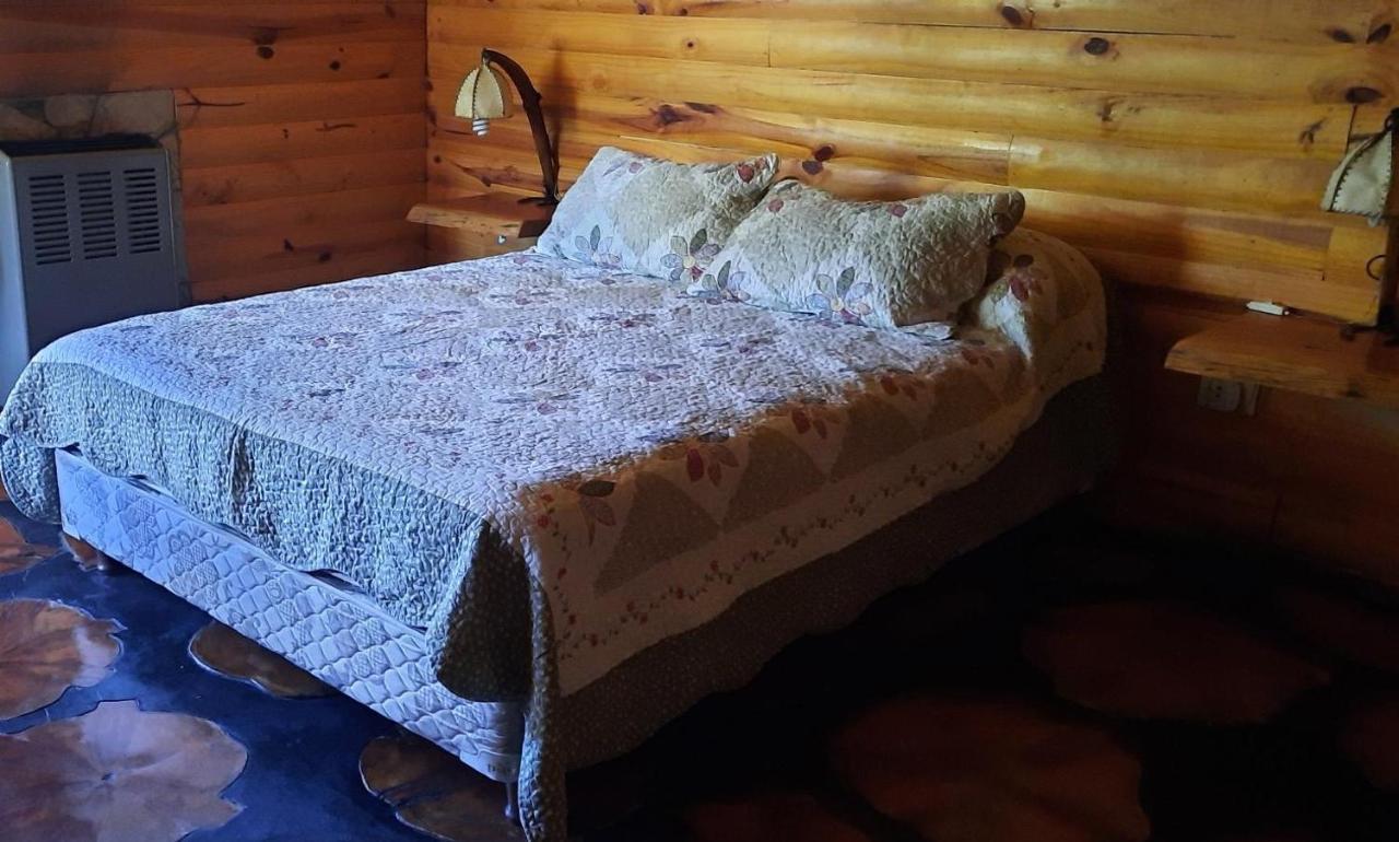 Neli Maria Villa Pehuenia