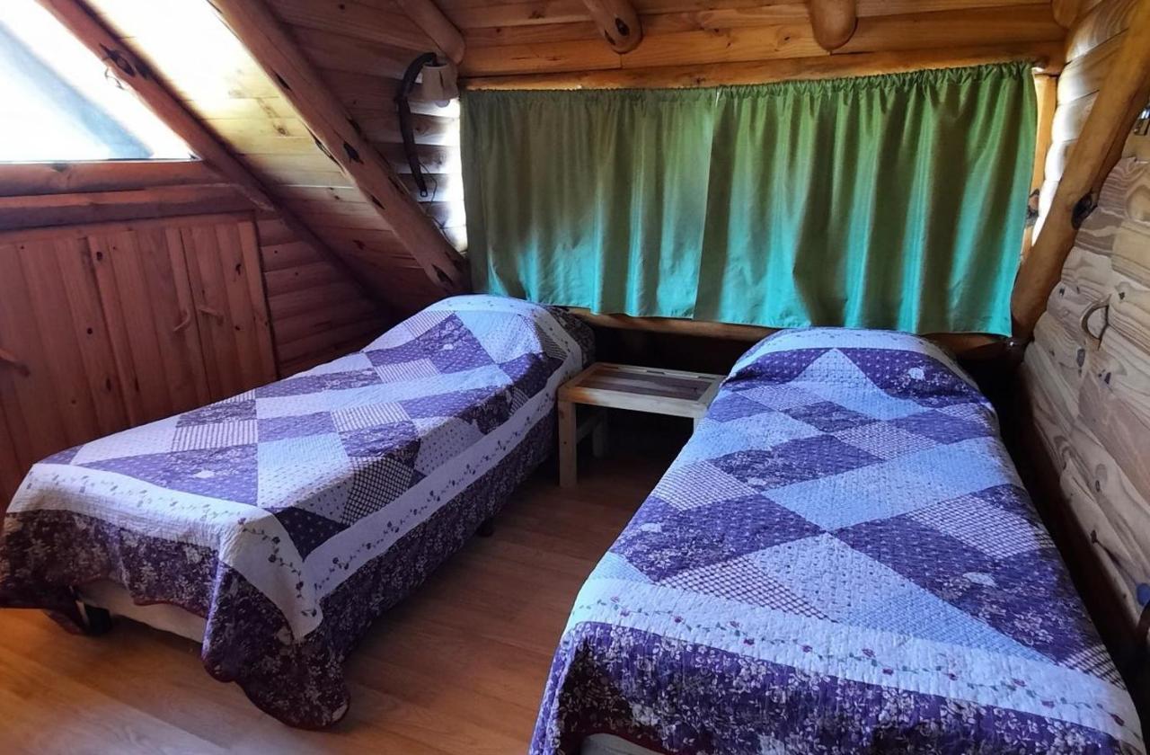 Chalet Neli Maria Villa Pehuenia
